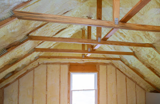 Types of Insulation We Offer in Wesley Chapel, NC