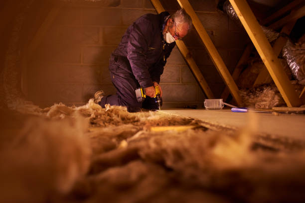 Best Specialized Insulation Services in Wesley Chapel, NC
